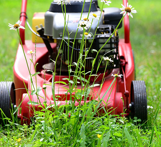 
Lawn Mowing Maintenance in Melbourne